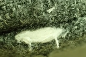 fabric repair 2